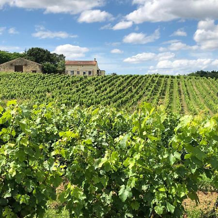 Chateau Le Truch Montussan ภายนอก รูปภาพ