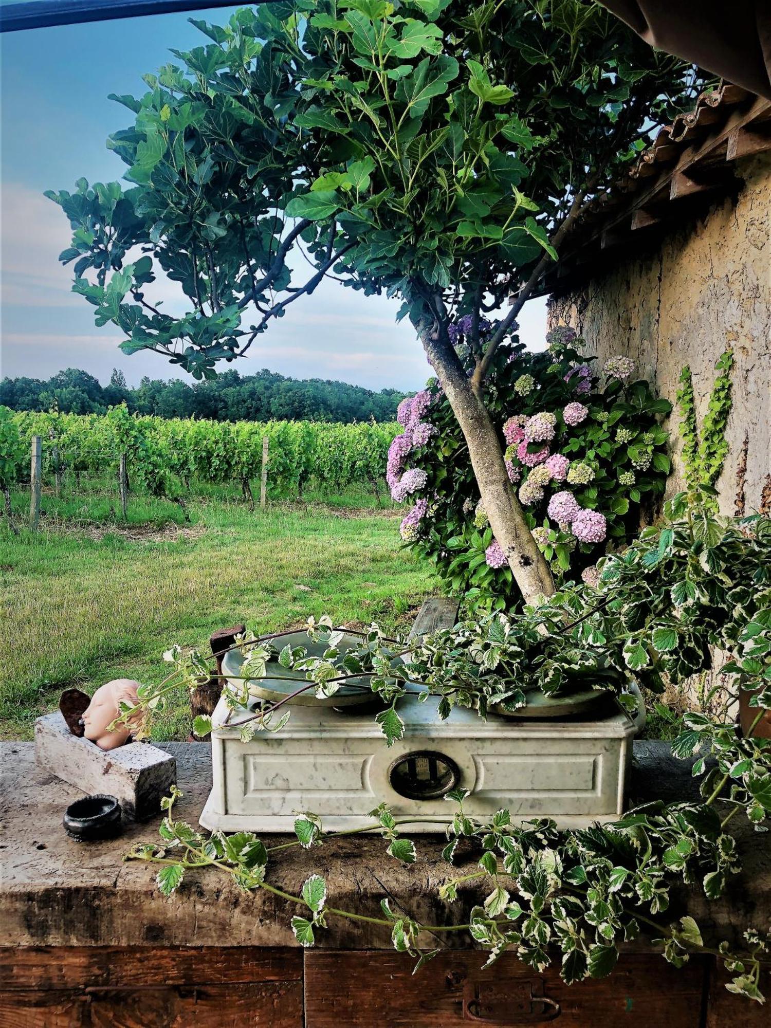 Chateau Le Truch Montussan ภายนอก รูปภาพ